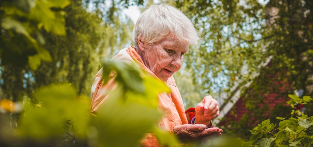 Customer Experience and Market Differentiation