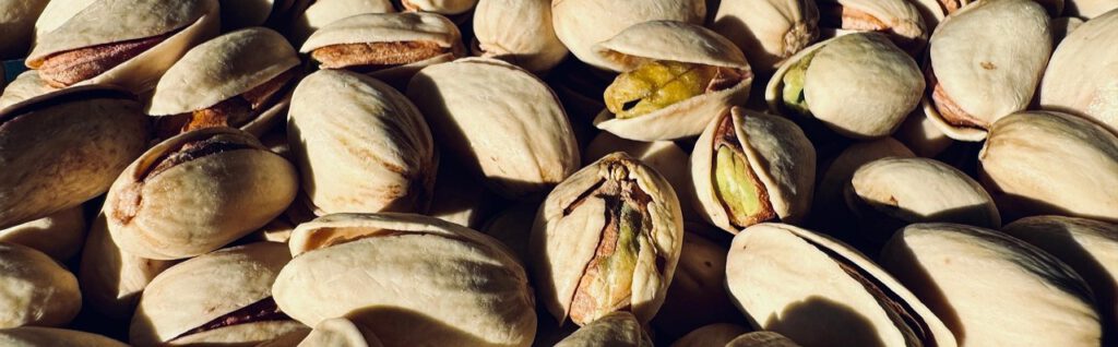 Implementation roadmap for Piacio® partners